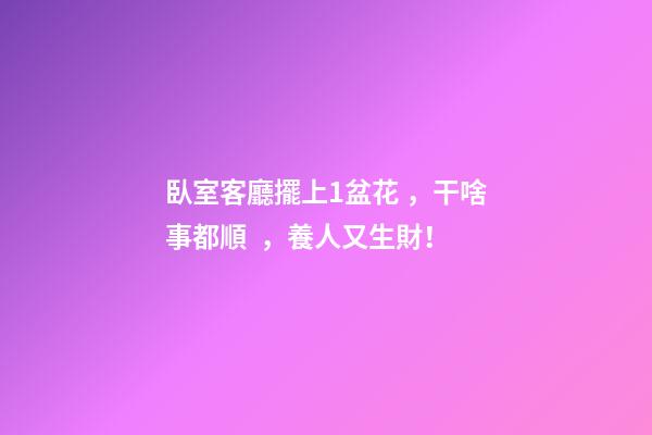 臥室客廳擺上1盆花，干啥事都順，養人又生財！